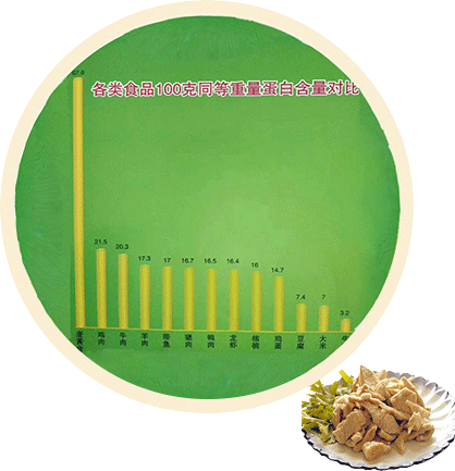 河北九凱食品有限公司